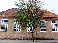 Gym in Gymnasium No. 1 in Szczytno